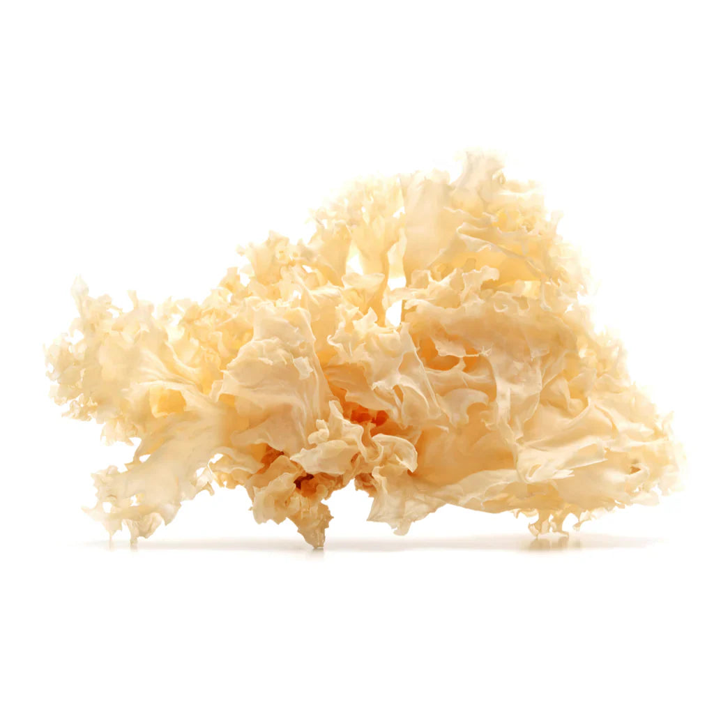 Dried White Fungus 100g