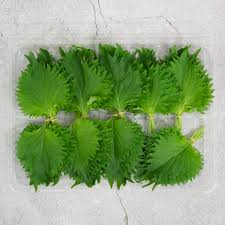 Fresh Japanese Ohba - Fresh Shiso Leaves 100pcs