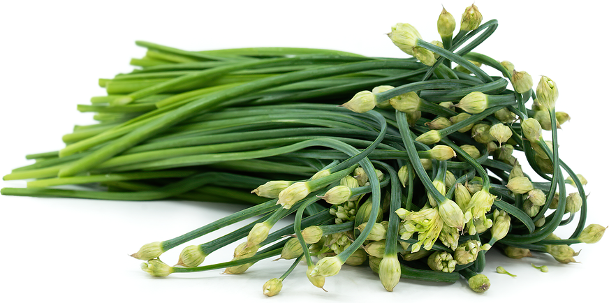 Fresh Green Chives with Flowers 1kg