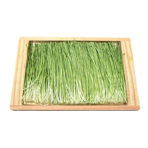 Menegi - Young Green Onion Shoots 1pc
