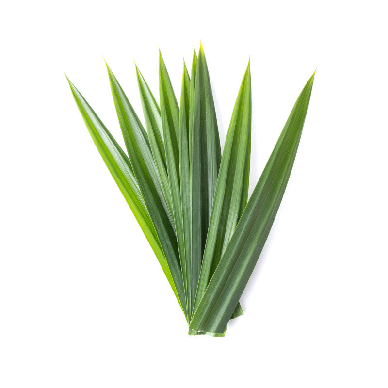Fresh Pandan Leaves 150g