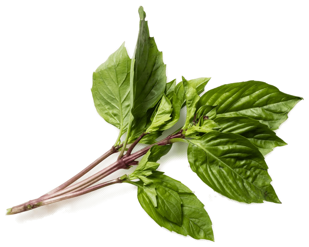 Thai Basil Packet