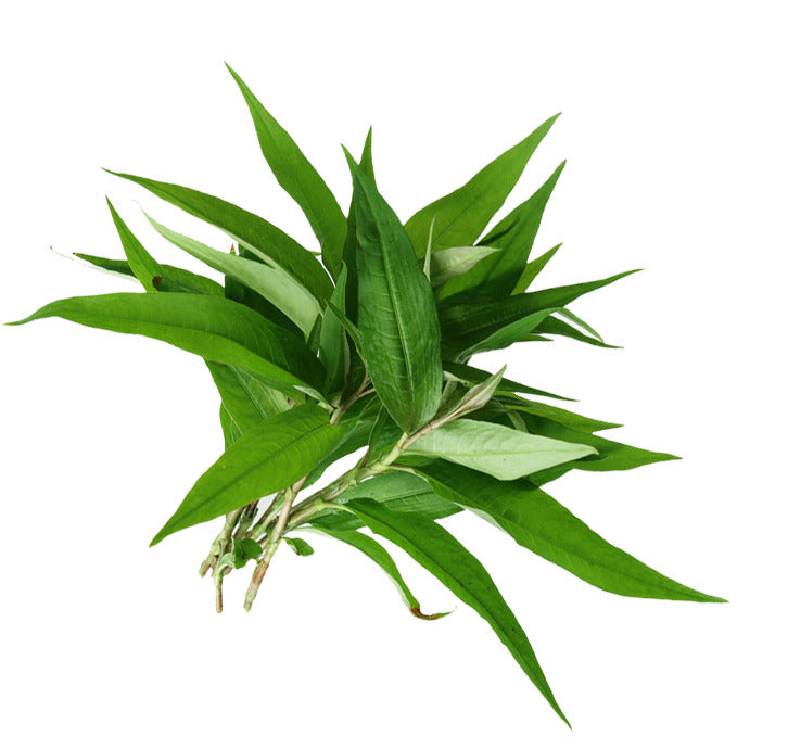 Laksa Leaf / Vietnamese Mint 100g