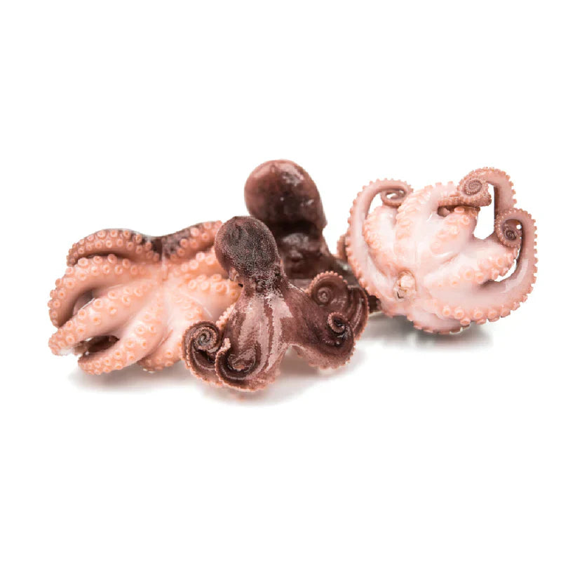 Baby Octopus 1kg
