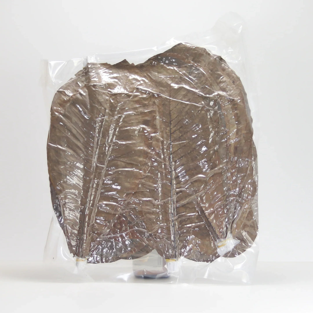 Kusakabe - Houba - Dried Magnolia Leaves 100pcs – i-tem